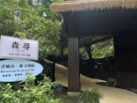 Qingcheng Senxun Mountain Scenery Villa