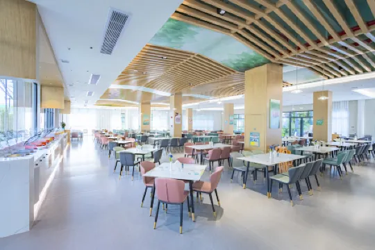 Qingyuan Fogang ShamPoola Forest Hotel