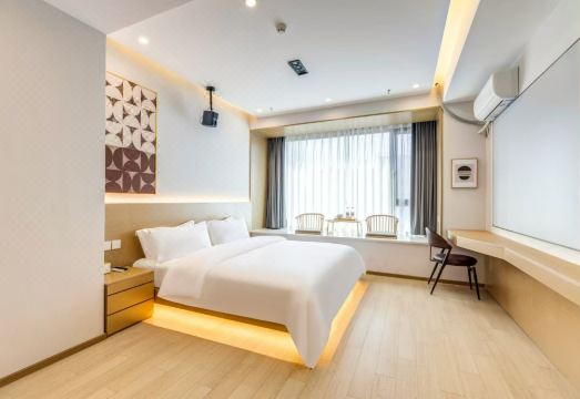 호텔 로비 마스코트 고양이