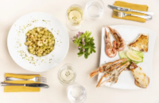 蓋塔維拉村海鷗