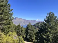 Amongst the pines | 2 bedroom bach | Stellar Views Hotels in 