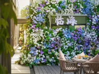 Qian Shan · M⁺ Homestay Hotels in Linhai