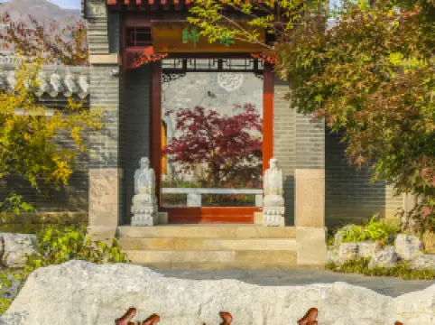 Popular Scenic Hotels in Qufu