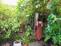 UdonBackpackers Beds and Cafe Hotels near Bus Station 1