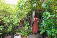 UdonBackpackers Beds and Cafe