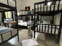 Nok Guesthouse & Hostel Hotels near جزيرة شارك