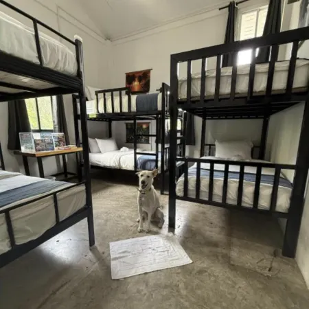 Nok Guesthouse & Hostel
