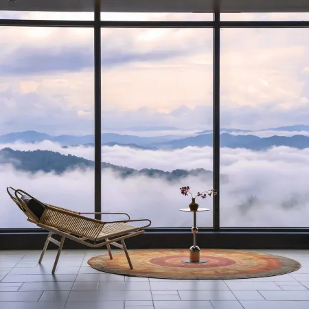 Dayu Cang 24 Tea Sea Cloud Retreat (Lancang Jingmai Mountain Ancient Tree Tea Forest Branch)