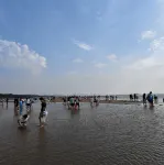Sheraton Qinhuangdao Beidaihe  Hotel - Luxury