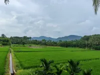วิลล่ายาบุลุนพักผ่อนท่ามกลางธรรมชาติ - วิว