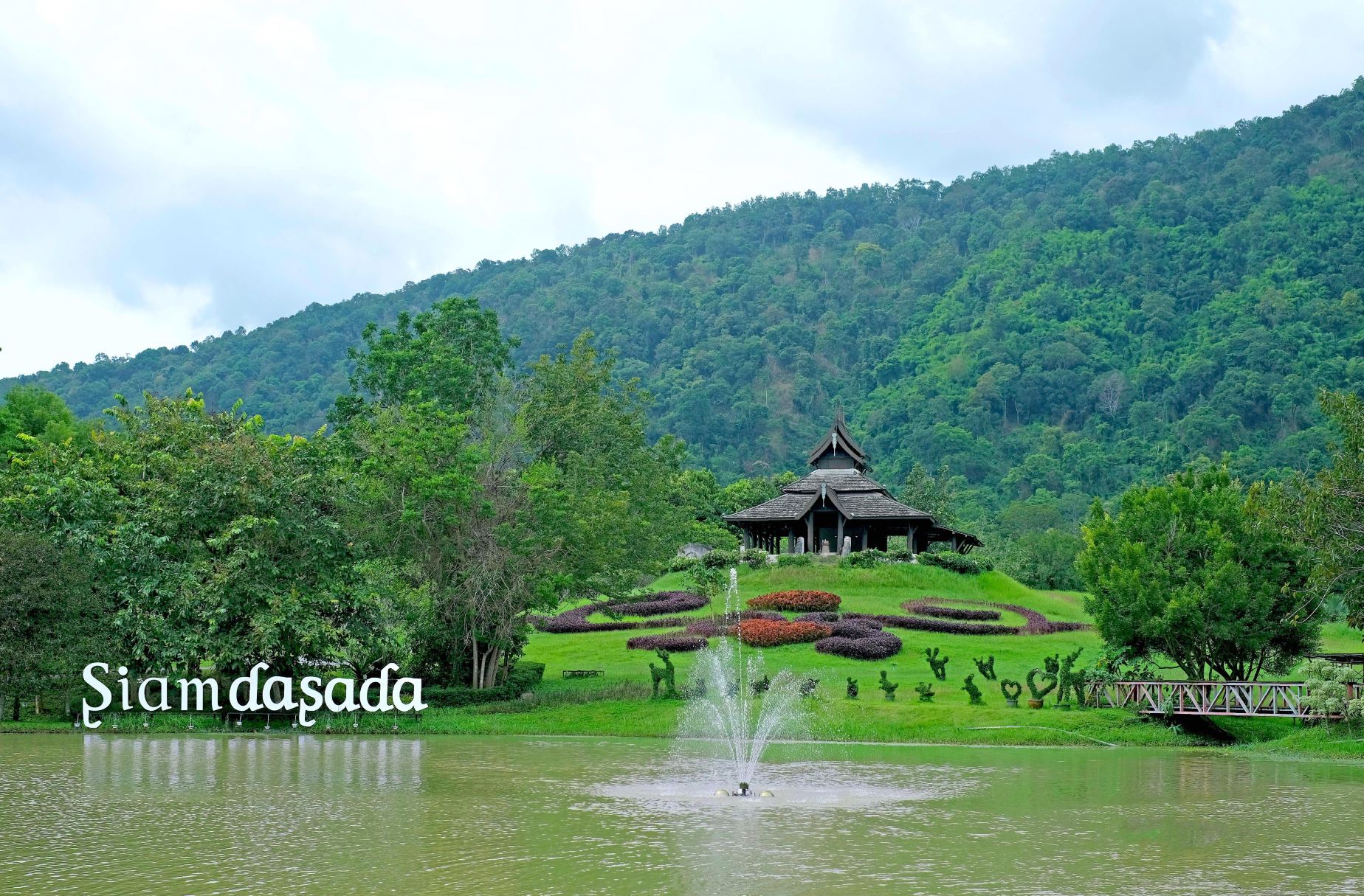 สยามดาษดา เขาใหญ่
