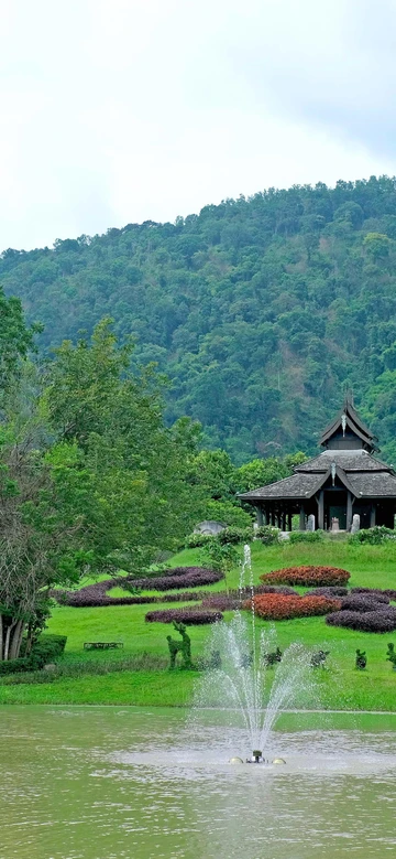 รูปภาพของสยามดาษดา เขาใหญ่