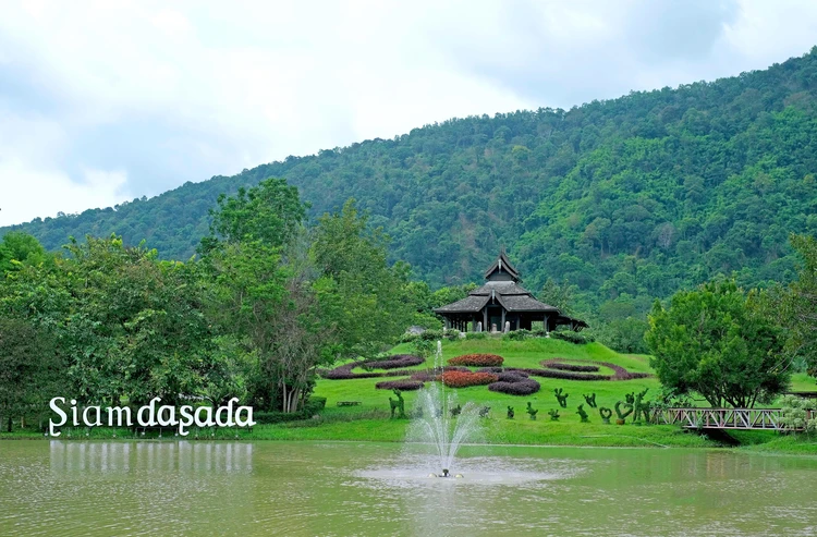 รูปภาพของสยามดาษดา เขาใหญ่