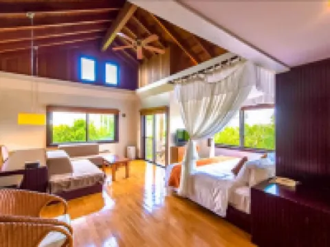 リブマックス アムス・カンナリゾートヴィラ 宜野座村のホテル