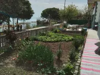 Denize sıfır müstakil bahçeli yalı Gerze otelleri