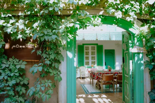 MUSE CAFE GUESTHOUSE - صديق للحيوانات الاليفة
