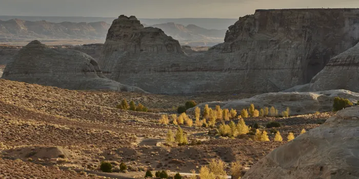 Amangiri image 1