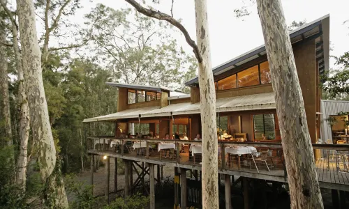 Paperbark Camp