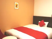 Daiwa Roynet Hotel OKAYAMA-EKIMAE Hotels in Okayama City