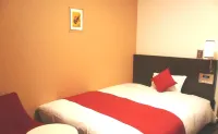 Daiwa Roynet Hotel OKAYAMA-EKIMAE