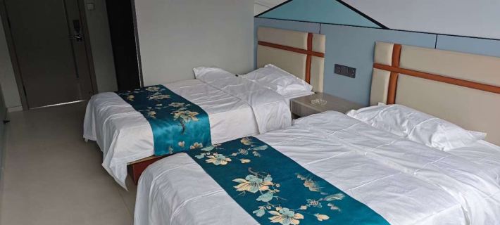 Li Xuan Hotel Các khách sạn ở Định Biên