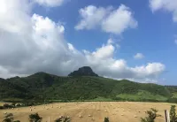 Okra Villa