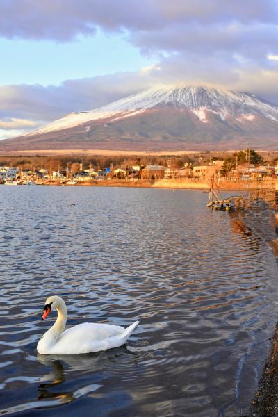 ホテル周辺 ホテルマウント富士の写真