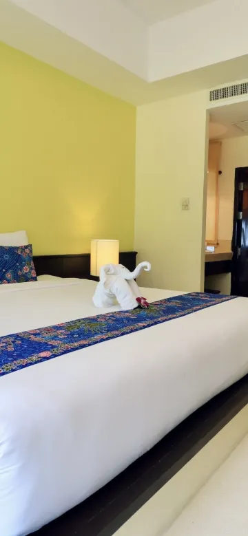 ห้องซูพีเรียร์