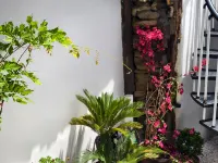 Langzhong Guipu Homestay (Gucheng Huaguanglou)