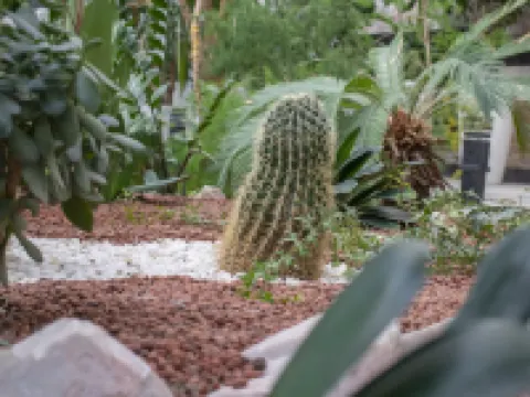 花園廣場布哈拉 鄰近布哈拉機場的酒店
