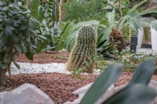 Garden Plaza Bukhara Отели в г. Бухара