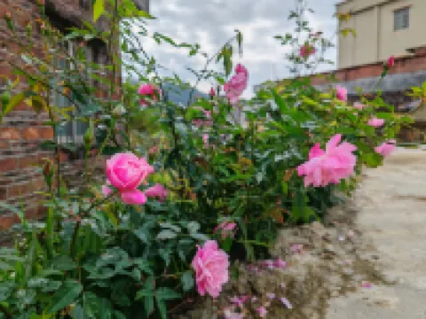 Yangchun Spring Neighbor • Riyue Huayuan Homestay