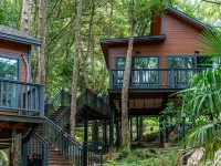 Luhe Liangshan Forest Wellness Homestay (Wandong) Hotels in Luhe