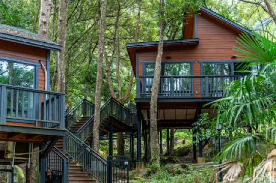 Luhe Liangshan Forest Wellness Homestay (Wandong)