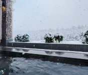 Regina Collection Hotel - Hot Springs