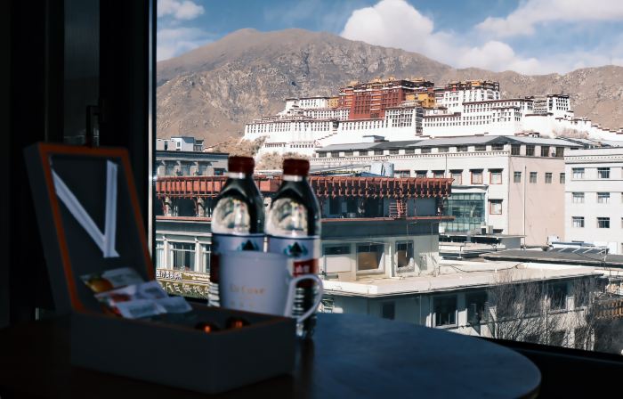 Lhasa Potala Palace Yishan Hotel