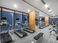 Crowne Plaza YIBIN by IHG - Gym
