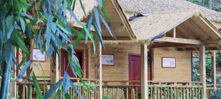 Bamboo Grove Courtyard Hainan's Home Homestay Hotéis em Changning