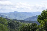 Jingmaishan Gukang Mingye Homestay (Princess Banyan Tree) - Mountain view
