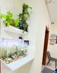 TIDY Premium Hostel Dubai - ห้องครัว