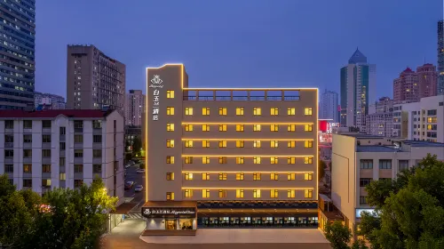 White Magnolia Hotel (Luoyang Xiaojie Tianfu Wangcheng Park Subway Station Branch) - فطور