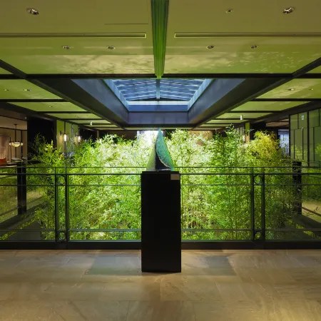 Dhawa Yura Kyoto