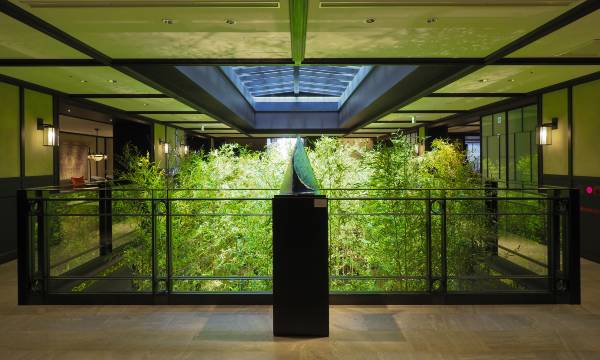 Dhawa Yura Kyoto