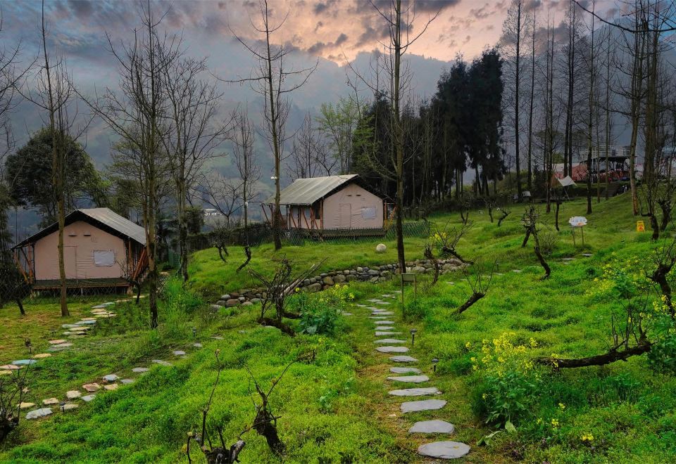 Cloud Camping Dujiangyan Walk의 내부 모습과 아늑한 조명