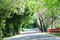 Chayu Inn Danxia Mountain 런화 호텔