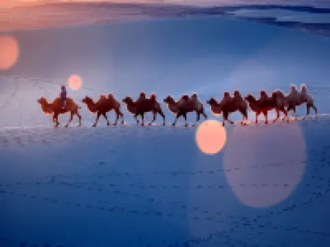 Zhongwei Shapo Tou Desert Wilderness Desert Stargazing Inn Hotels in Zhongwei