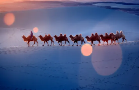 Zhongwei Shapo Tou Desert Wilderness Desert Stargazing Inn Hotels in 