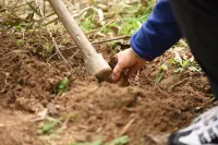 Tiantang Mountain Original Ecological Resort