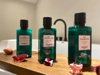 Lanfeng Hotel Hotels in Xi'an