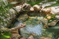 Qingdao Wushe Tangquan Seaview Holiday Courtyard - 温泉
